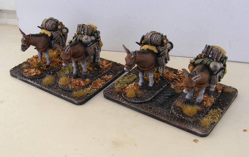 Kelly és a szexi dög