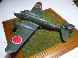 Dinah High-Flyer
(Propellerfanatic)