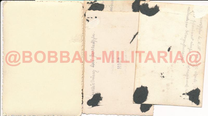 38M Botond - 1.gl.zlj. = ebay háta