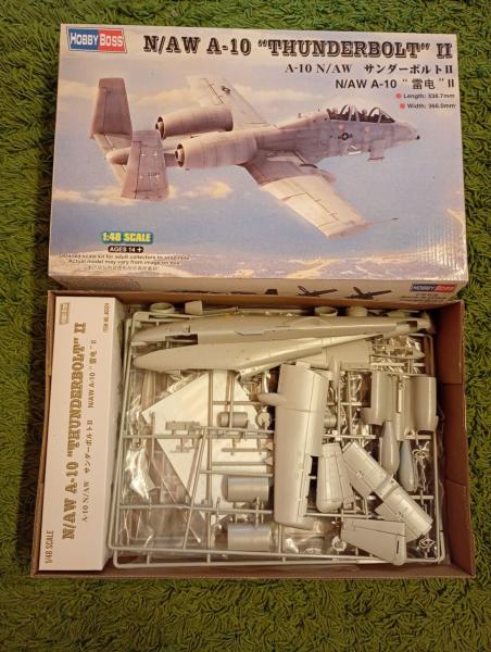 IMG_20251026_144433087_MFNR