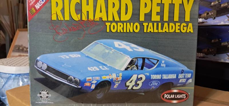 Polar 43 torinotalladega