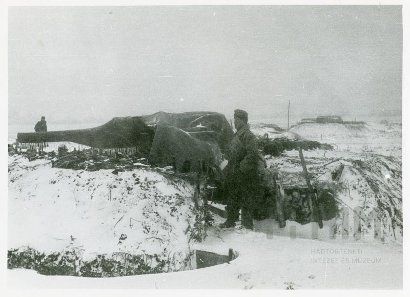 29-38M 8cm - 42-12-09 - Don  = HM-HIM FB