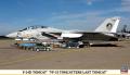 F-14D_VF-31_Last_Tomcat