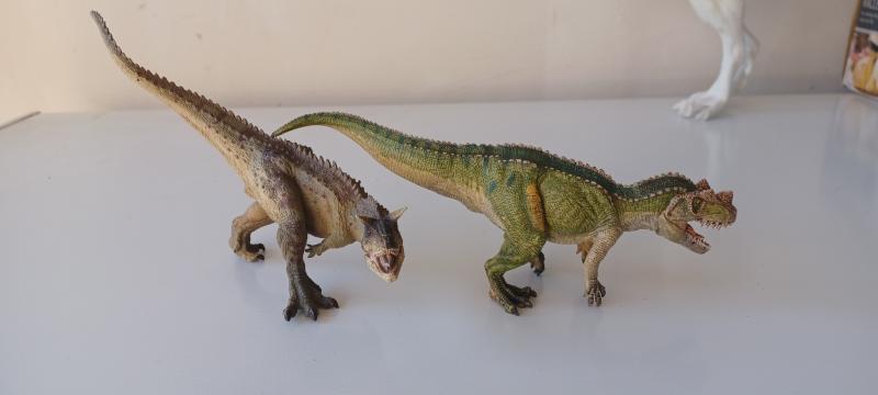 15.  6000 Ft darabja...Papo 1.35