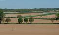 KAPE2294 korr copy