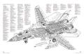f-14a_cutaway
