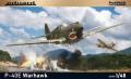 P-40E.jfif