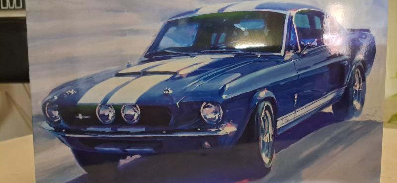 amt 1967 ford mustabg