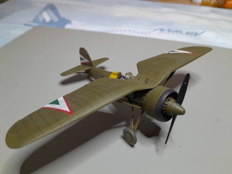 IBG P.11 2