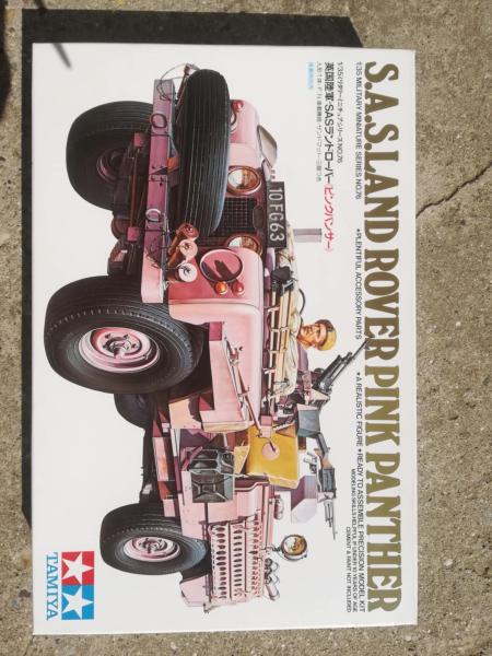6000 Pink Panther