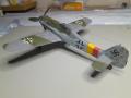 HB Fw-190D