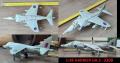 48 - HARRIER