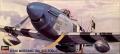 Hasegawa P-51D  (3000)