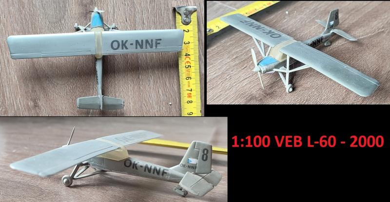 100 - L-60 (2)