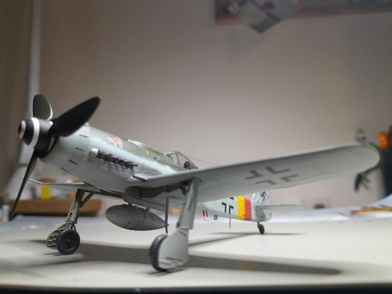 HB Fw-190D
