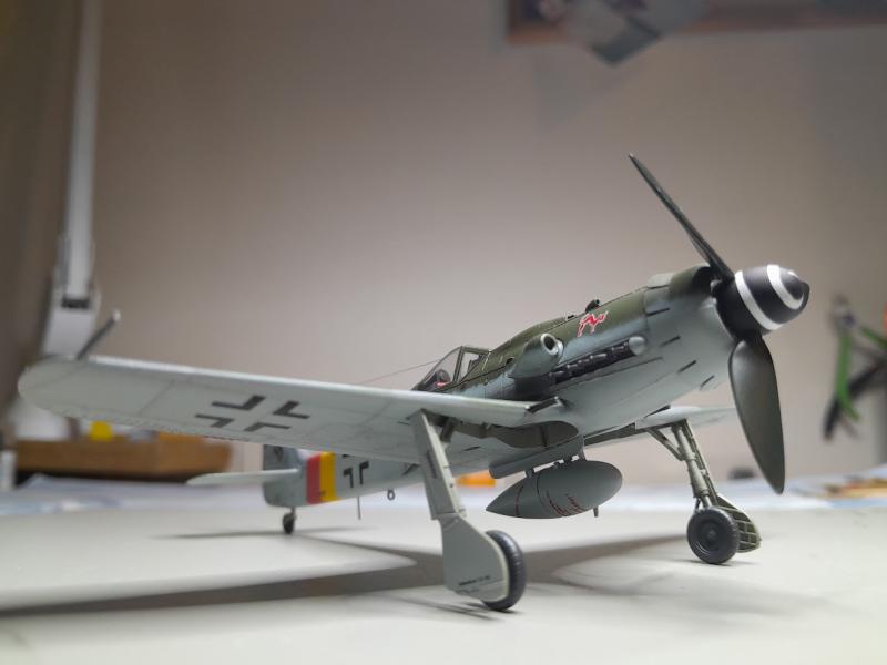 HB Fw-190D