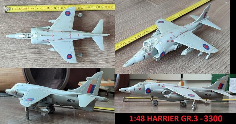 48 - HARRIER