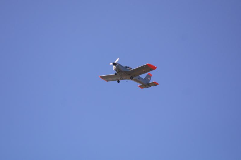 IMG_2449