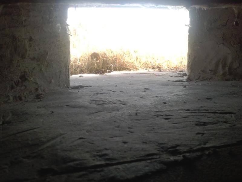 CAM00087