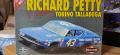Polar 43 torinotalladega
