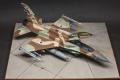 _DSC2451