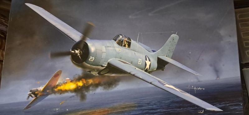 academy wildcat