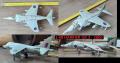 48 - HARRIER