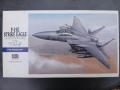 Hasegawa F-15E.jfif
