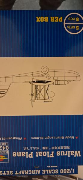 trumpeter walrus