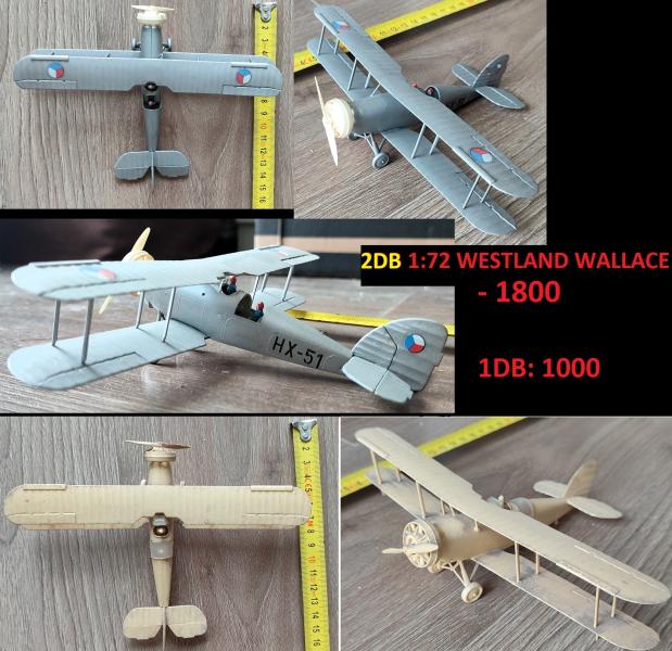 72 - WESTLAND WALLACE